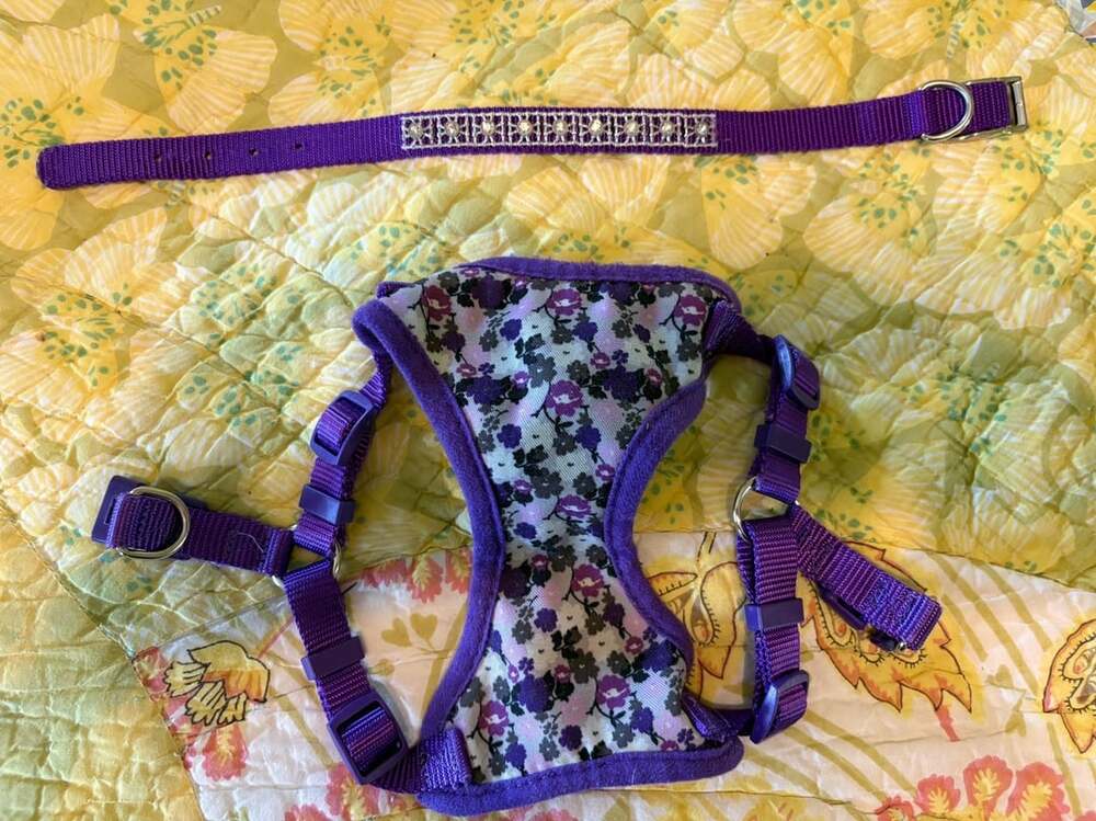 Unbranded Step In Dog Harness, XS Purple Floral w/ matching rhinestone collar